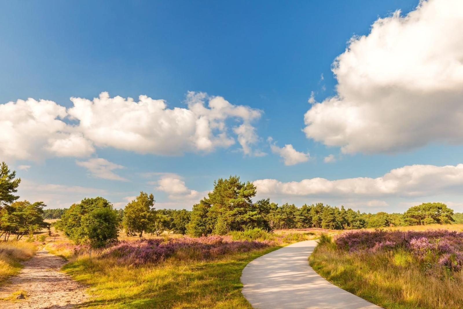 Top Luxe Chalet - Kindvriendelijk - Bos En Heide Harderwijk Zewnętrze zdjęcie